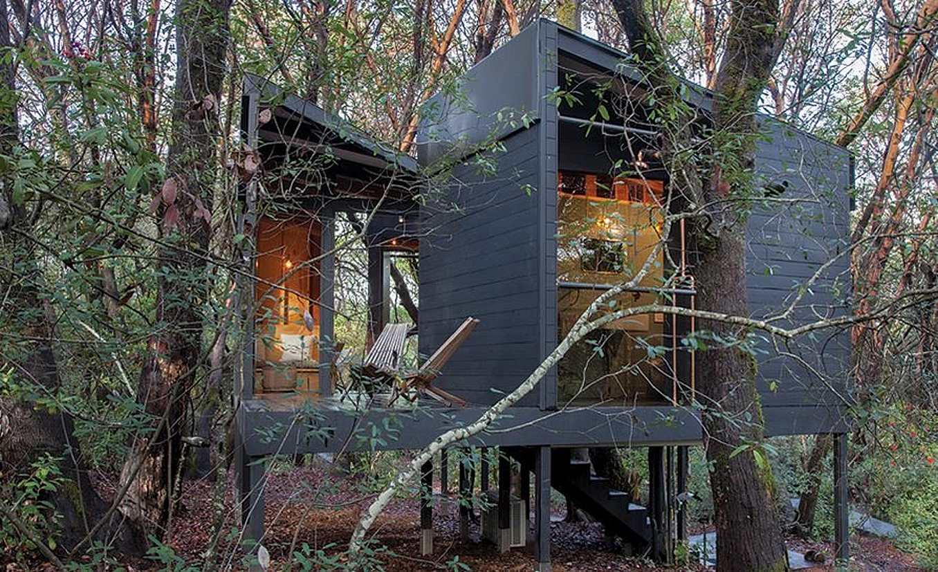 The Forest House is an award-winning modern cabin in Mendocino County, CA.