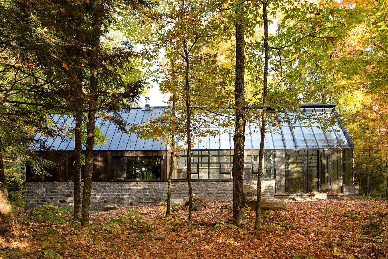 Cottage design with bifolding glass doors