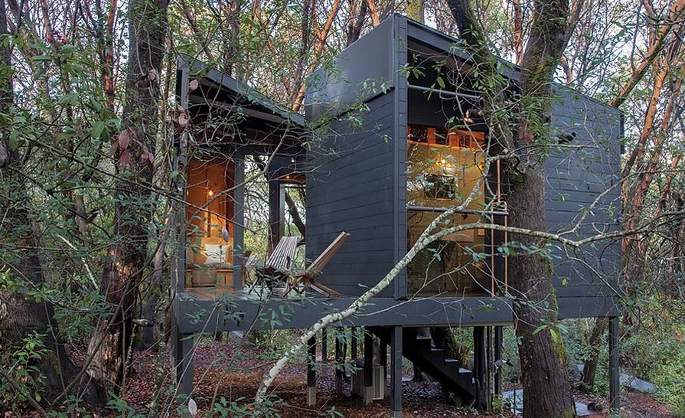 The Forest House is an award-winning modern cabin in Mendocino County, CA.