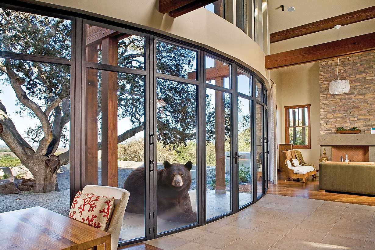 NanaWall bearricade bear security