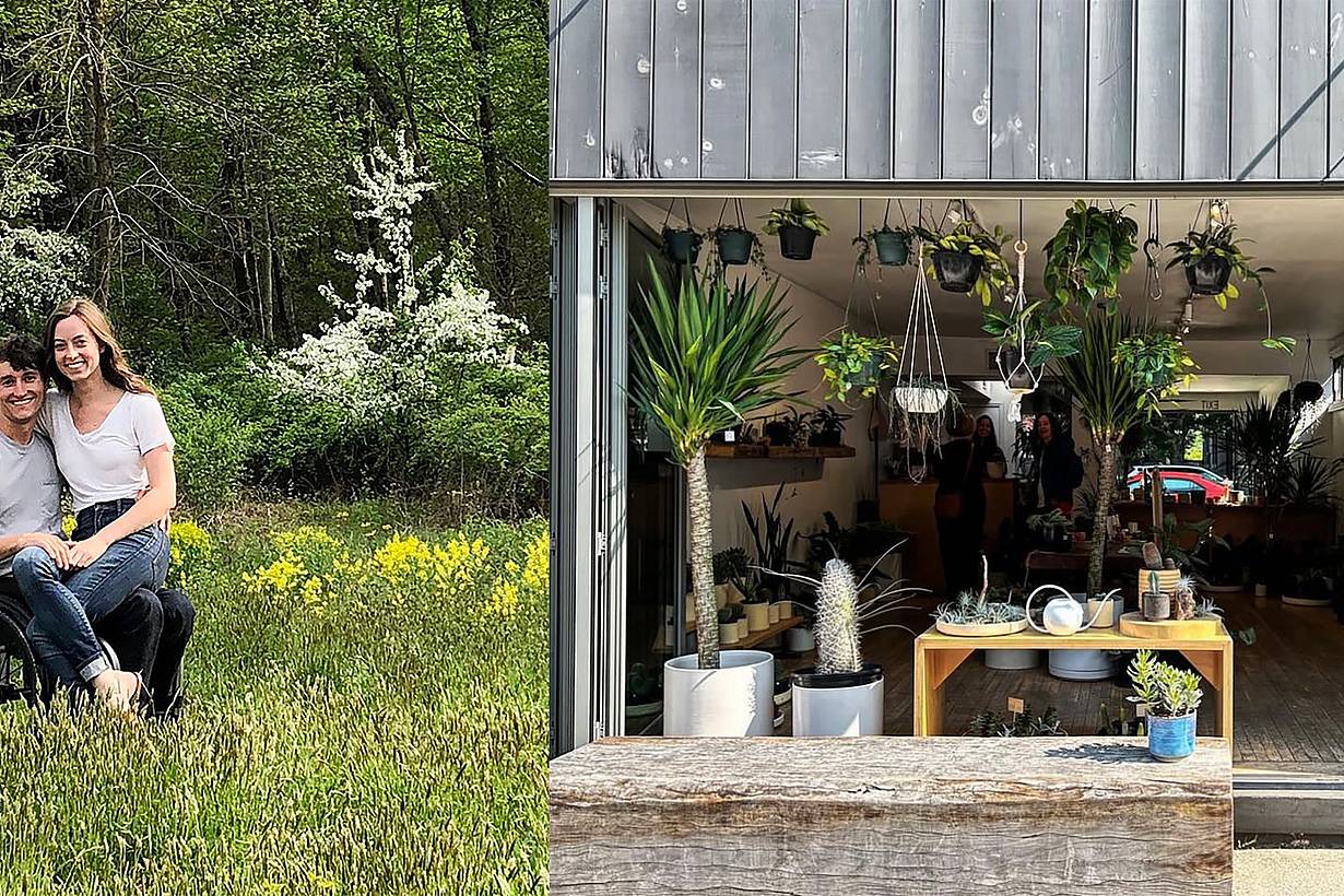 Stump Plants commercial storefronts
