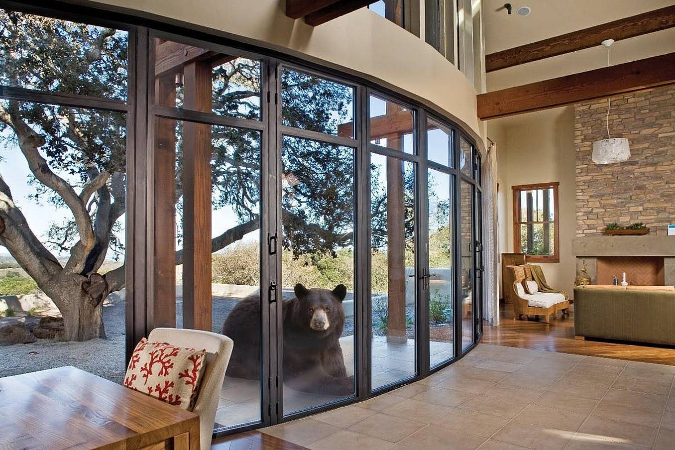 Bear resistant folding glass doors